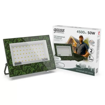 Прожектор уличный  GFD004 Gauss
