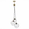 Стеклянный подвесной светильник Satturo SLE103113-03 прозрачный форма шар Evoluce