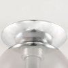Стеклянный настенно-потолочный светильник Томми CL102510 форма шар серый Citilux