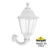 Настенный фонарь уличный Noemi E35.132.000.WXH27 прозрачный конус Fumagalli