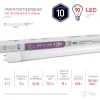 Лампочка светодиодная  LED T8-10W-865-G13-600mm ЭРА