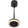 Подвесной светильник DK402 DK4022-BK черный Denkirs