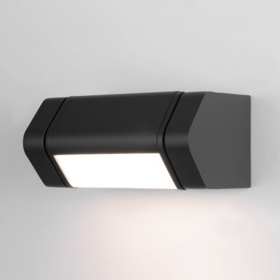 Настенный светильник уличный DORS 35163/D черный Elektrostandard