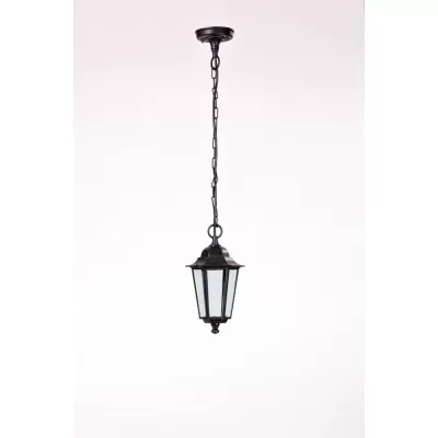 Уличный светильник подвесной  79805S Bl Oasis Light