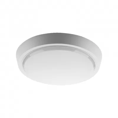 Настенно-потолочный светильник  DBO01-20-4K-SOA Wolta