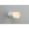 Точечный светильник 100 OML-100609-01 цилиндр белый Omnilux