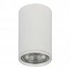 Точечный светильник 20001 20001SMU/01 SWH цилиндр белый Escada