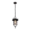 Стеклянный подвесной светильник LOFT1141 LOFT1141 прозрачный Loft It
