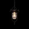 Стеклянный подвесной светильник LOFT1141 LOFT1141 прозрачный Loft It