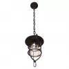Стеклянный подвесной светильник LOFT1141 LOFT1141 прозрачный Loft It