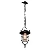 Стеклянный подвесной светильник LOFT1141 LOFT1141 прозрачный Loft It