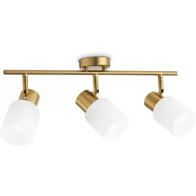 Спот TRADITIONAL TR3972 Ambrella