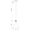 Стеклянный подвесной светильник Lizia FR8010PL-01GB конус серый Freya