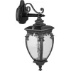 Стеклянный настенный фонарь уличный VERONA 86202/02 Bl прозрачный Oasis Light Стеклянный настенный фонарь уличный VERONA 86202/02 Bl прозрачный Oasis Light