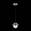 Стеклянный подвесной светильник Garonni SLE110103-01 форма шар прозрачный Evoluce