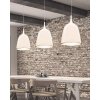 Подвесной светильник Beltone LDP 081029 WT конус белый Lumina Deco