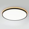 Потолочный светильник Norma CL749501 белый Citilux