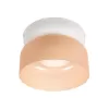 Стеклянный потолочный светильник Totem 10466 Amber matte цвет янтарь цилиндр Loft It