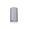 Точечный светильник Stirpe 2797-1U цилиндр серый Favourite