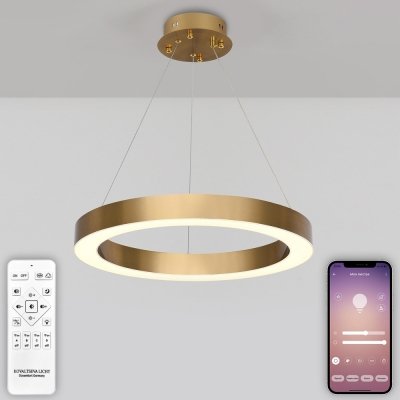 Подвесной светильник Led series 722 HIGH-TECH LED LAMPS 82057 Natali Kovaltseva дизайнерский