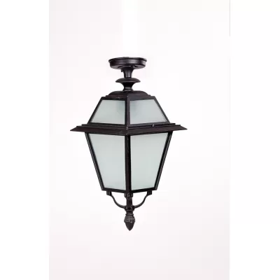 Потолочный светильник уличный FARO-FROST L 91105fLA Bl Oasis Light