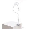 Интерьерная настольная лампа Sparrow Lamp 15311