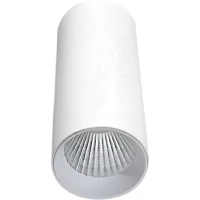 Точечный светильник Rollo DL18895R15N1W
