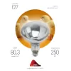 Лампочка инфракрасная  ИКЗ 220-250 R127 E27 ЭРА