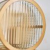 Стеклянный интерьерная настольная лампа Radiales 3099-1T прозрачный Favourite
