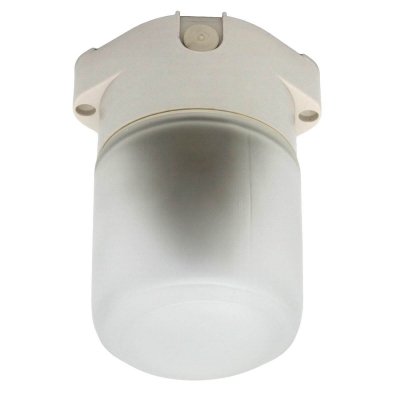 Настенно-потолочный светильник  НББ 01-60-001 ЭРА для бань и саун