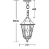 Стеклянный уличный светильник подвесной PETERSBURG lead GLASS 79805lg Bl прозрачный Oasis Light