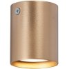 Точечный светильник  V46390-8/1PL цвет золото цилиндр Vitaluce