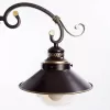 Потолочная люстра Grazioso A4577PL-3CK Artelamp