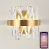 Хрустальный настенный светильник Tiziano LED LAMPS 81113/1W прозрачный Natali Kovaltseva