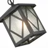 Стеклянный уличный светильник подвесной Lorne SL084.403.01 прозрачный куб ST Luce