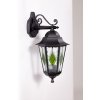 Стеклянный настенный фонарь уличный PETERSBURG lead GLASS 79802lg Bl прозрачный Oasis Light