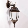 Стеклянный настенный фонарь уличный  91202L Gb прозрачный Oasis Light