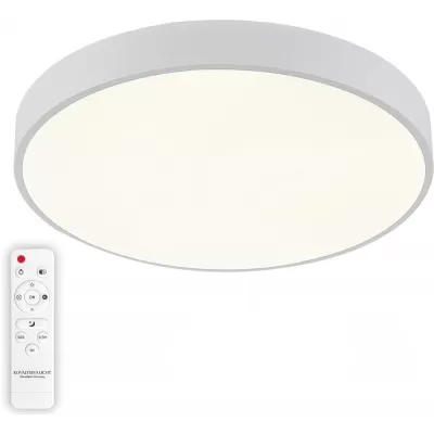 Потолочный светильник  LED LAMPS 81112/5C Natali Kovaltseva