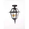 Стеклянный потолочный светильник уличный FARO lead GLASS 91105A lgY Bl прозрачный Oasis Light