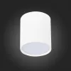 Точечный светильник Rene ST113.532.05 цилиндр белый ST Luce