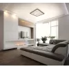 Стеклянный потолочный светильник Led LED LAMPS 81096 белый Natali Kovaltseva