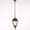 Стеклянный уличный светильник подвесной  91205L Gb прозрачный Oasis Light