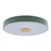 Потолочный светильник Axel 10003/24 Green белый Loft It