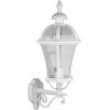 Стеклянный настенный фонарь уличный ROMA L 95201L/02 W прозрачный Oasis Light