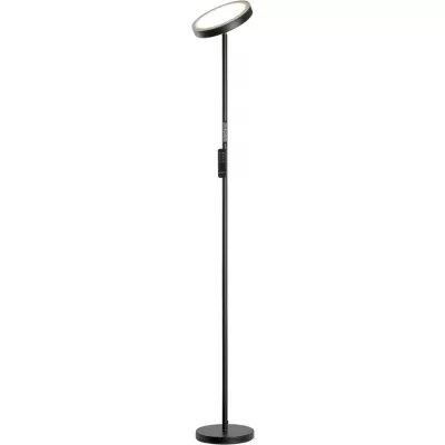 Торшер Carmel LSP-0901-SE