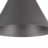 Подвесной светильник Bicones P359-PL-220-C конус Maytoni