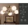 Стеклянная потолочная люстра Traditional TR3064 белая форма шар Ambrella