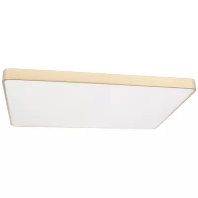 Потолочный светильник Flims 10228/E Loft It