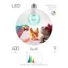 Лампочка светодиодная  FITO-Dim 9W Chicken E27 ЭРА