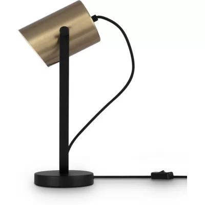 Интерьерная настольная лампа Elori FR4004TL-01BBS Freya